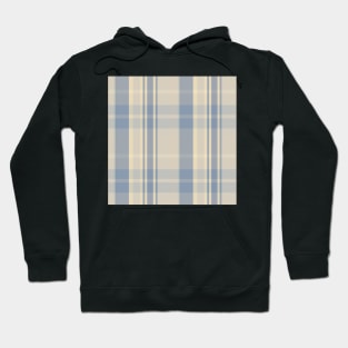 Cottagecore Aesthetic Conall 1 Hand Drawn Textured Plaid Pattern Hoodie